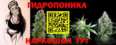 гидра Волгодонск