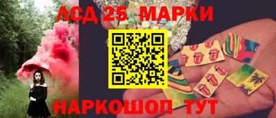 стаф Гатчина