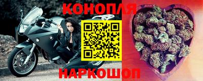 гидра Волгодонск