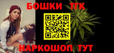 стаф Гатчина