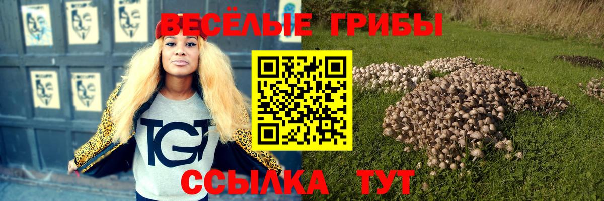 Галлюциногенные грибы MAGIC MUSHROOMS Курчалой